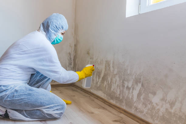 Bathroom Mold Removal assessment in Westbury bathroom