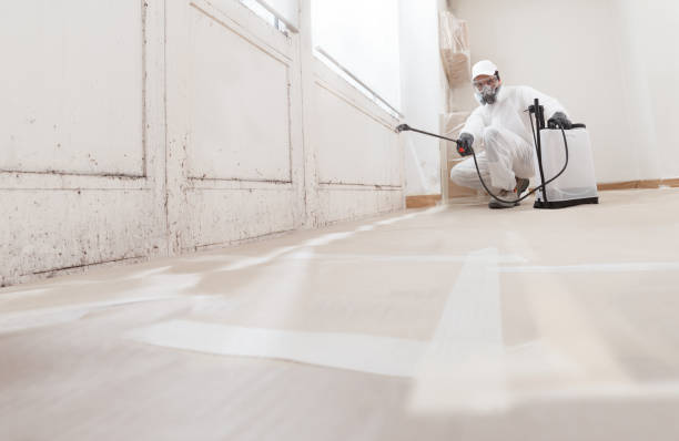 Post-remediation clearance in Westbury